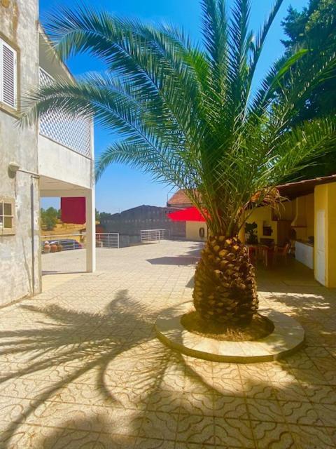 1955 Guest House Cebolais de Cima Bagian luar foto